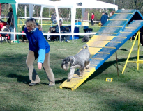 agility-2