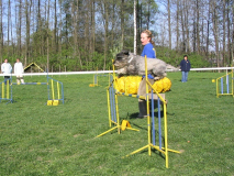 agility1