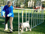 agility3
