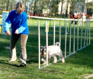 agility3