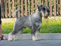 sammy03