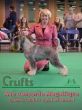 sammy_cruft1