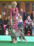 sammy_cruft5
