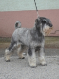 chiq03