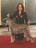 comely_casiopea_olomouc