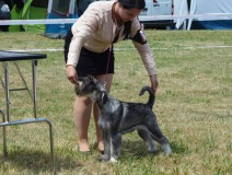 confeti1