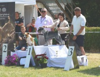 confeti5