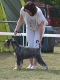 darlene03