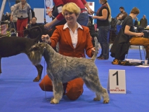 des16
