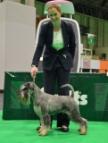 draco05