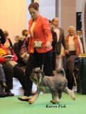 draco10