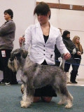 expert08