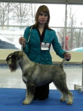 expert09