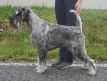 edrien6