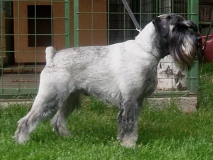 effendi01
