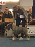 elu11