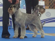 nio09