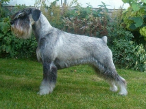eria01