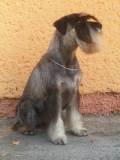 eria02