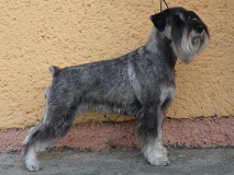 eria03