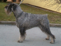 eria05