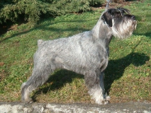 eria06