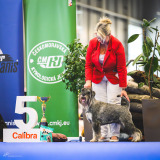 Esme_intercanis-1
