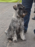 nela05