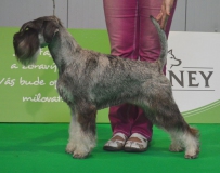 nela30