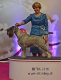 nela63