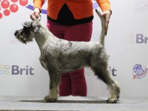 fiona1