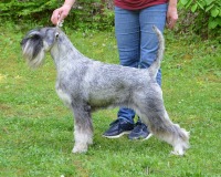 fiona9