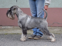 frajer01