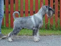 frajer02