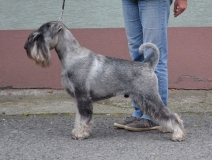 frajer08
