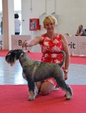gaia7
