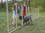 t1392450910_gina_agility1