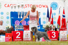 gloria_czest2