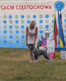 gloria_czest4