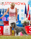 gloria_hlavniweb