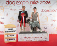hawkeye_nitra
