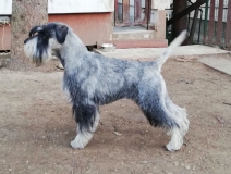 hero1