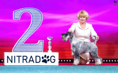 Honda_ofi_nitra
