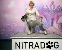 hodna_nitra_stup