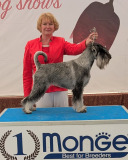 honda_barje55