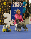 honda_puppy1