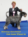 idy25