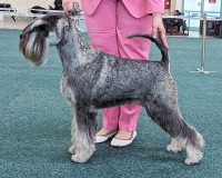 ikona13