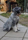 ilaria_7m4