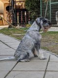 ilaria_7m6